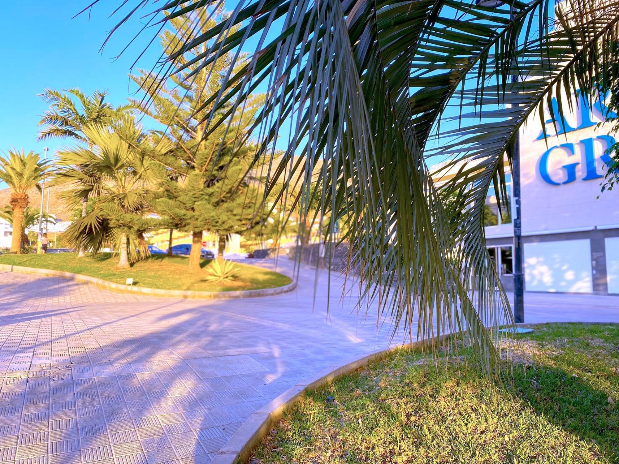 Tropicalidays Cristianos Angel Apartment Los Cristianos  Exterior foto